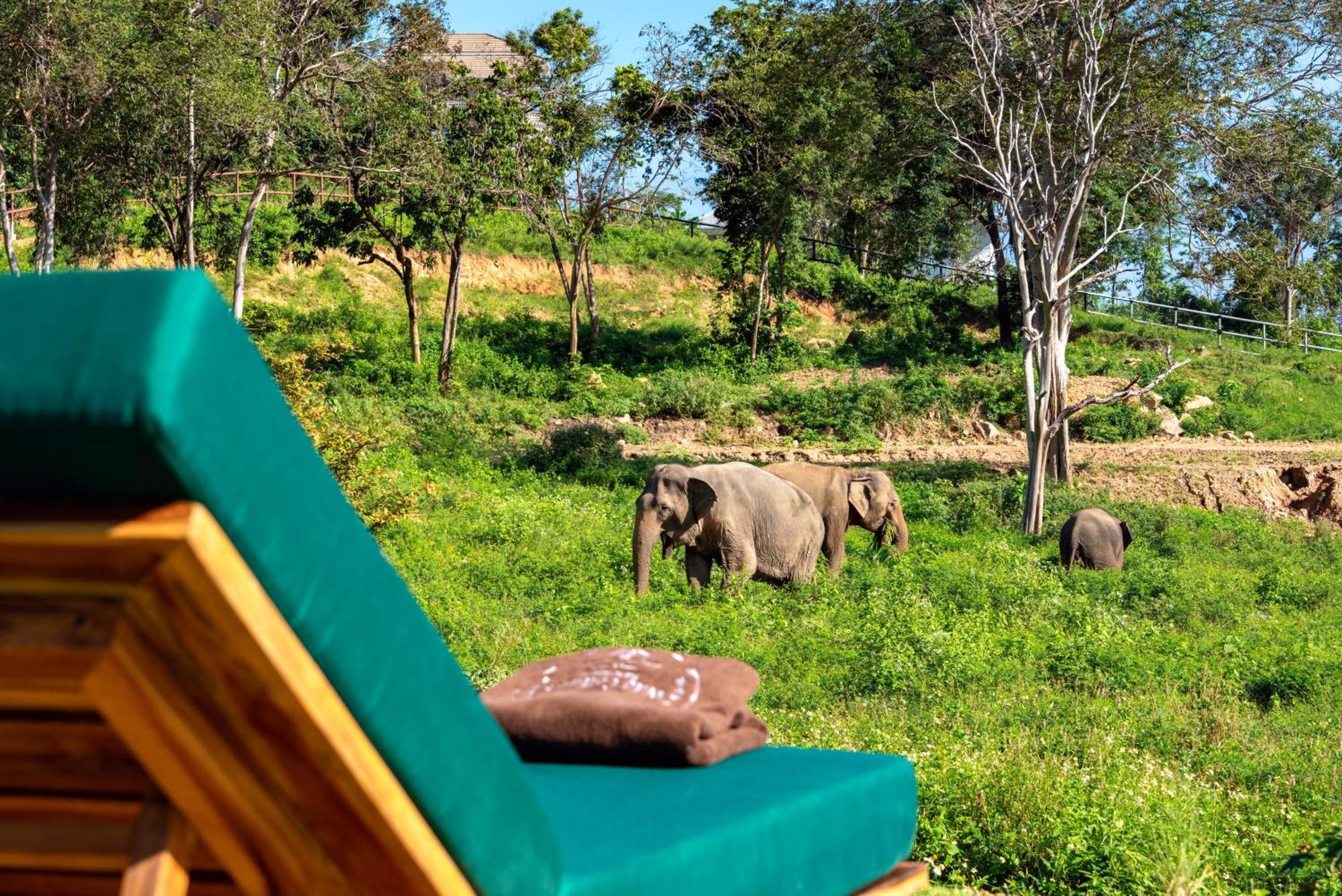 Wild Elephant Sanctuary 5*